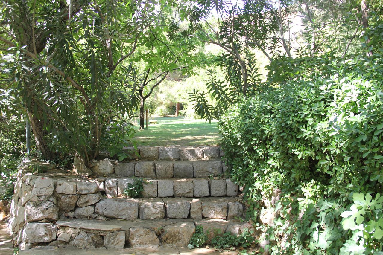 Domaine De Chouchene Hotel Sahrat al Qashsh Exterior photo